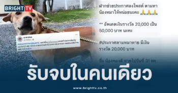 ดราม่าหมาหาย (5)