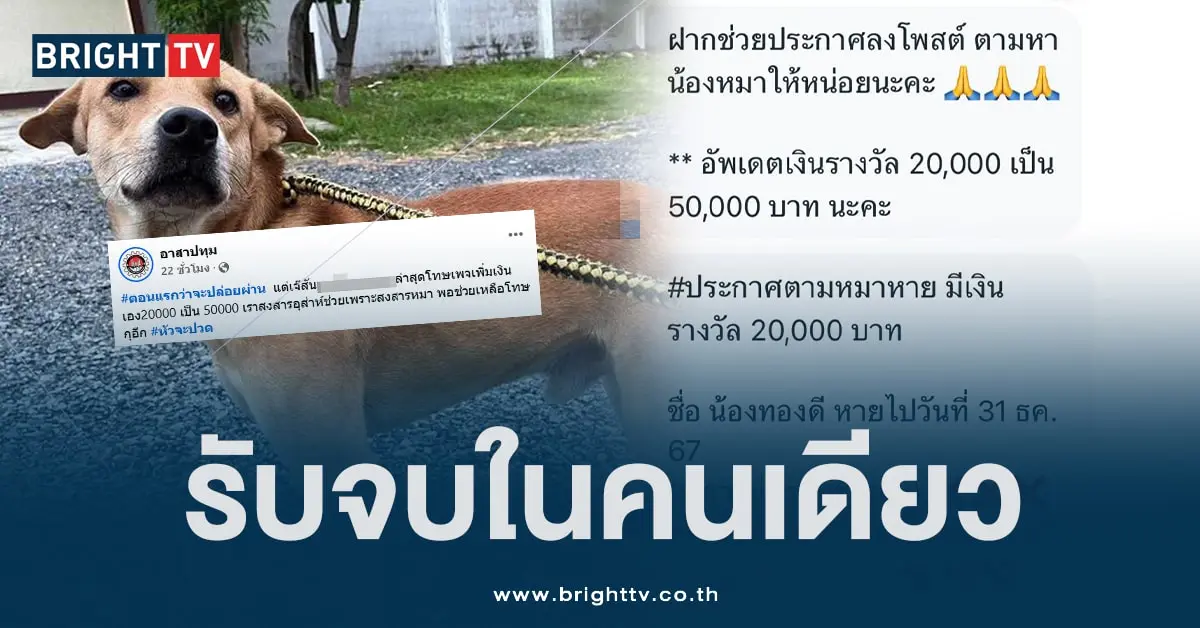 ดราม่าหมาหาย (5)