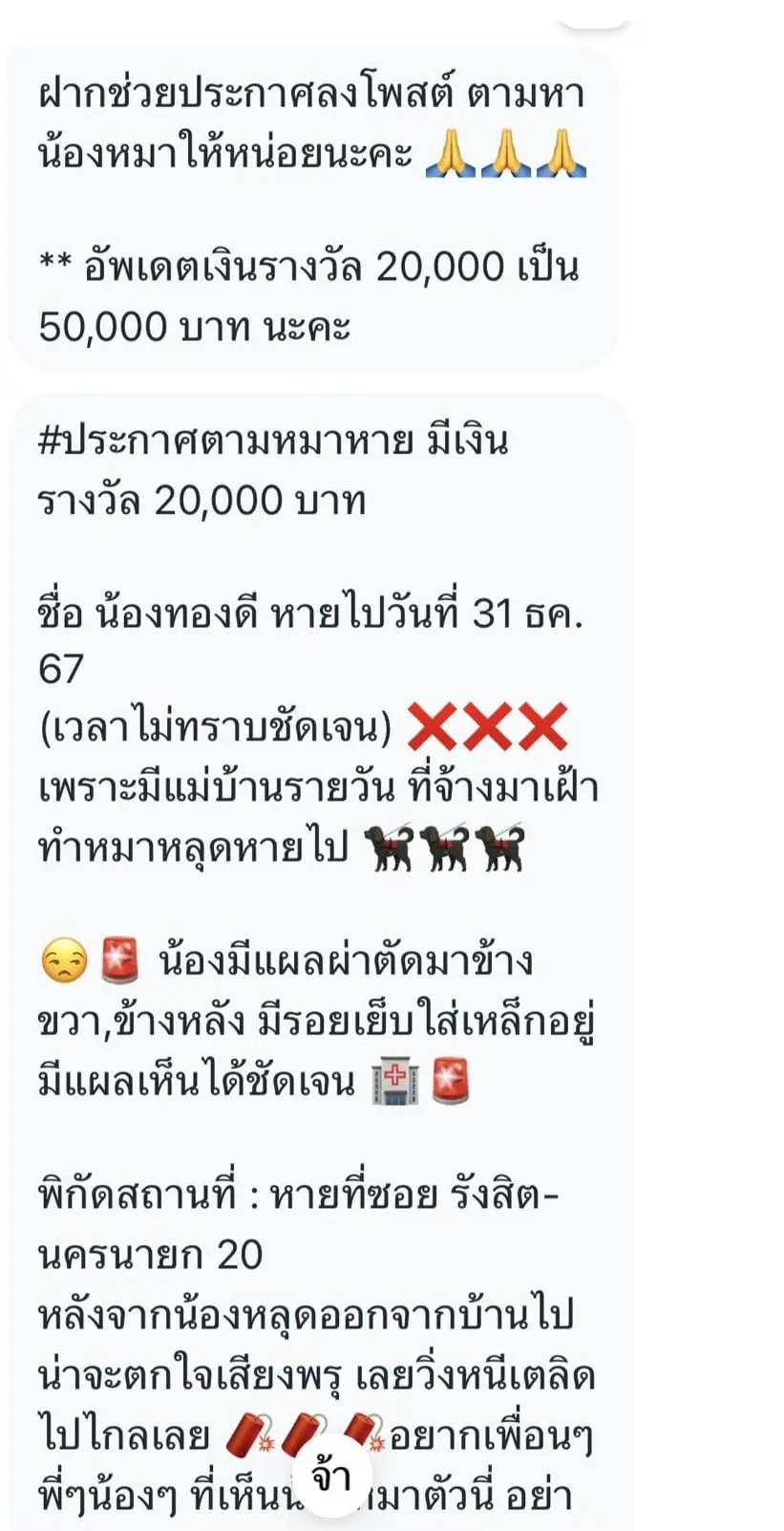 ดราม่าหมาหาย (7)
