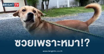 แก้ปก-min (1)