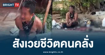 ฆ่าหมา