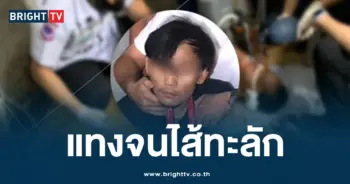 ไรเดอร์