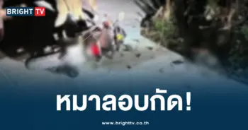 ตำรวจ