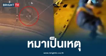 หมาไล่ขบ