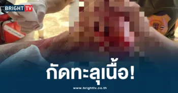 หมูป่ากัด