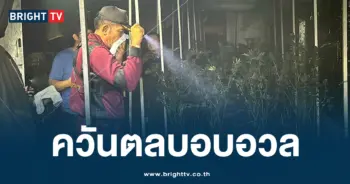 ไฟไหม้โรงเพาะกัญชา