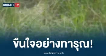 ขืนใจเด็ก 10 ขวบ