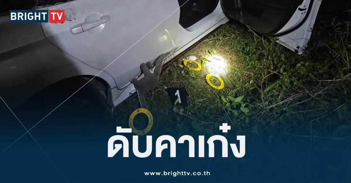 เซลล์ขายรถ (1)
