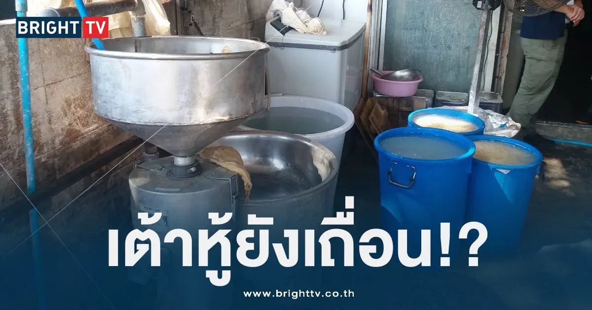 เต้าหู้ (1)