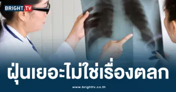ฝุ่น