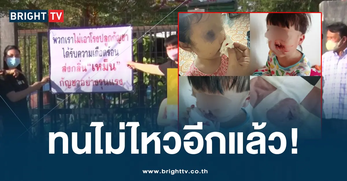 โรงปลูกกัญชา