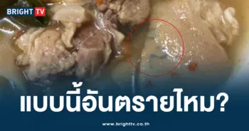 หนังหมู