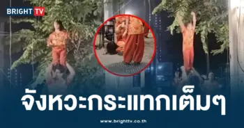 คณะเชิดสิงโต-min