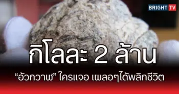 อ้วก1