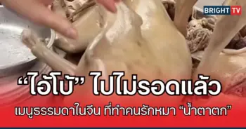 โบ้
