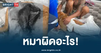 ราดน้ำกรด