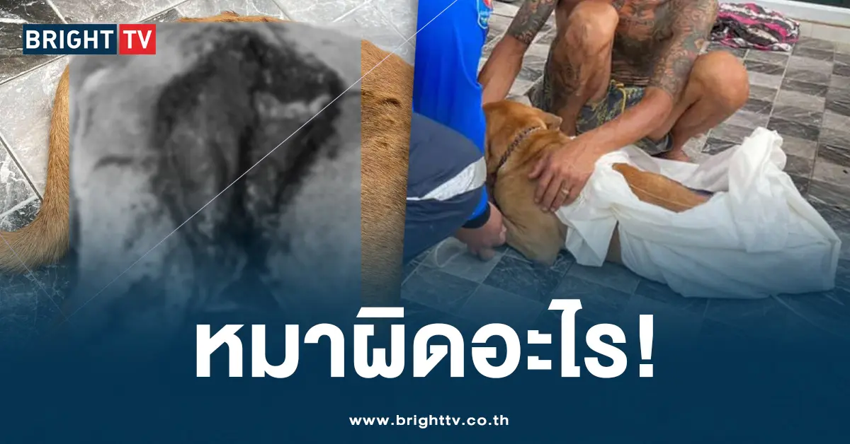 ราดน้ำกรด