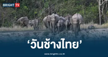 วันช้างไทย