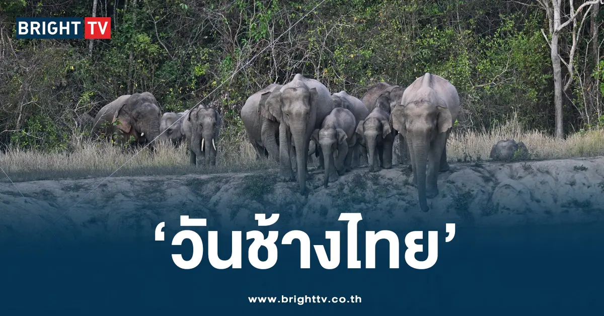 วันช้างไทย