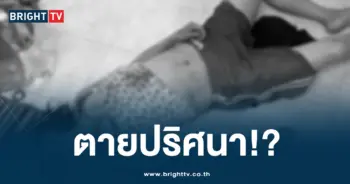 เมียตาย