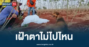 เฝ้าศพตา