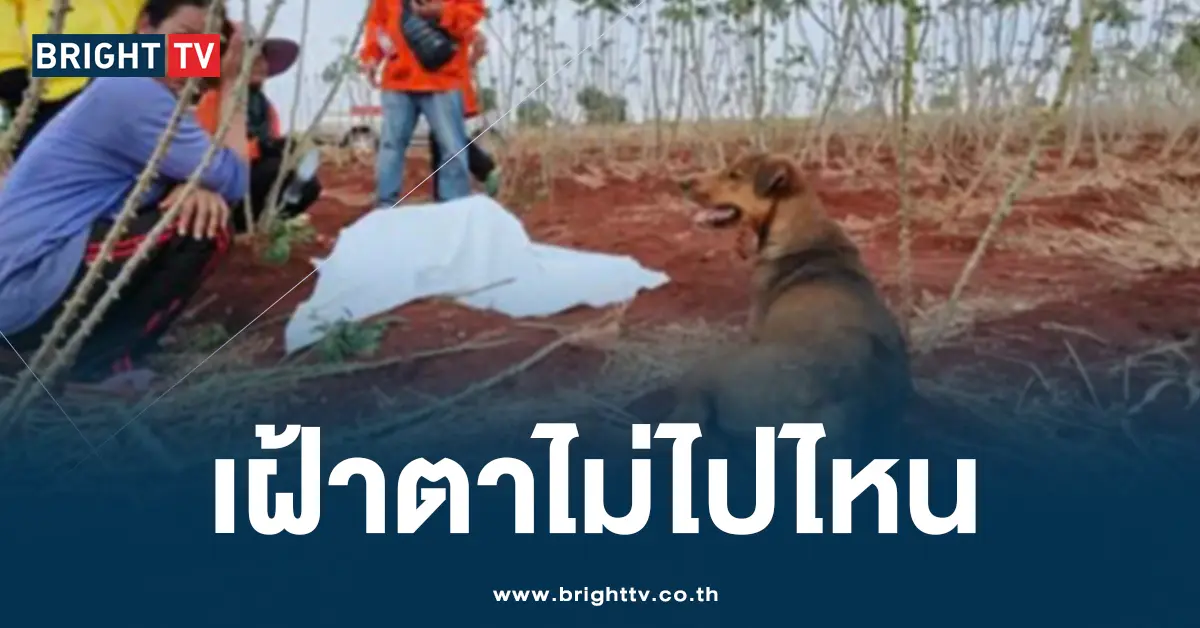 เฝ้าศพตา