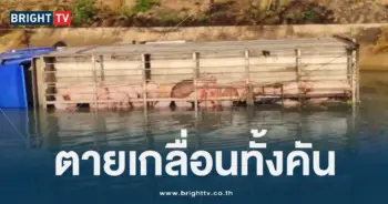 รถบรรทุกหมู (1)