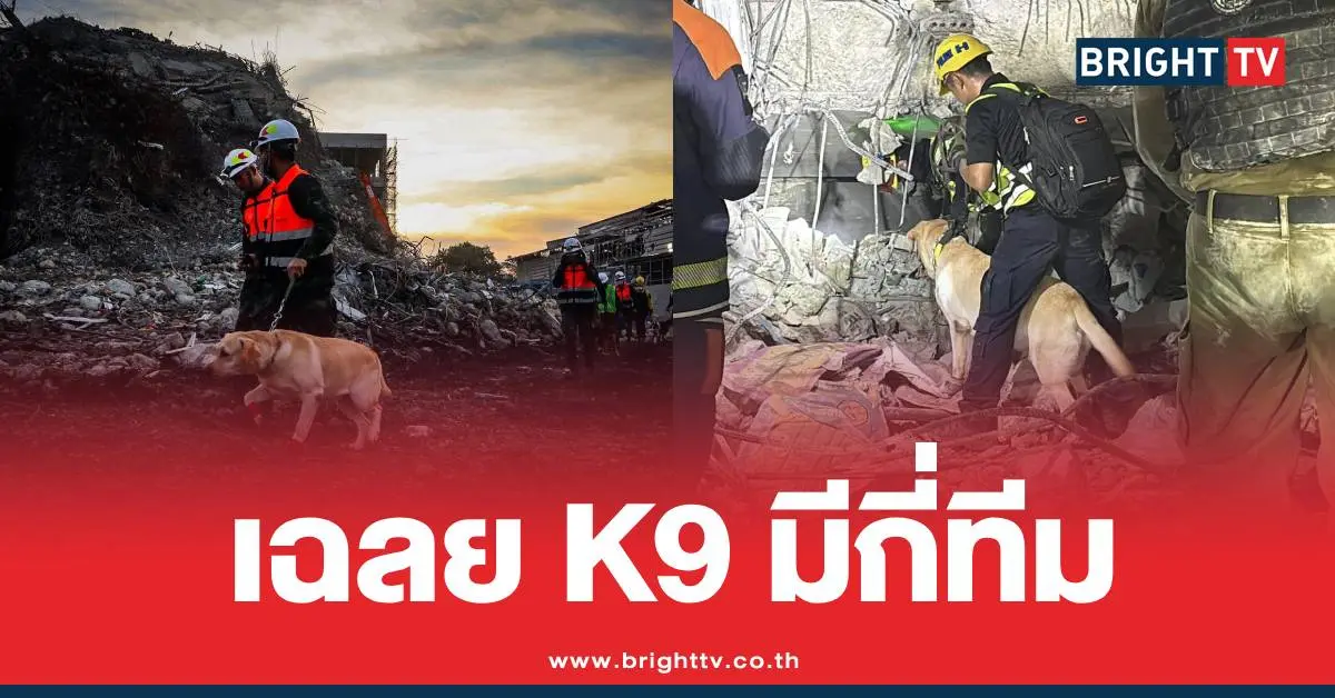 เฉลยK9มีกี่ทีม