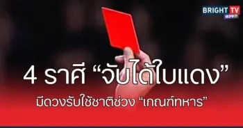 ใบแดง1
