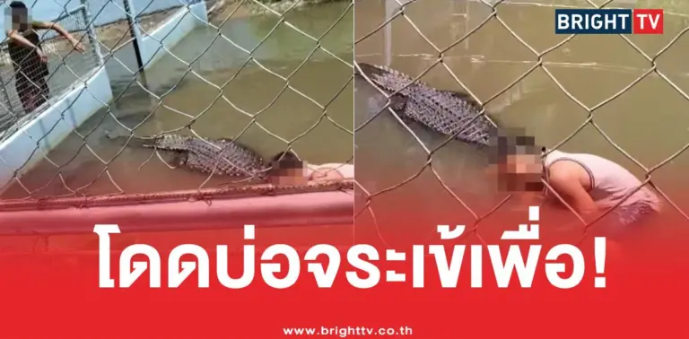 โดดบ่อจระเข้โดนกัด