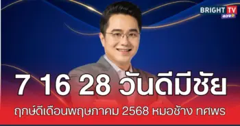 ช้างวันดี