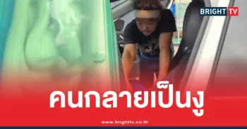ผู้โดยสารกลายเป็นงู