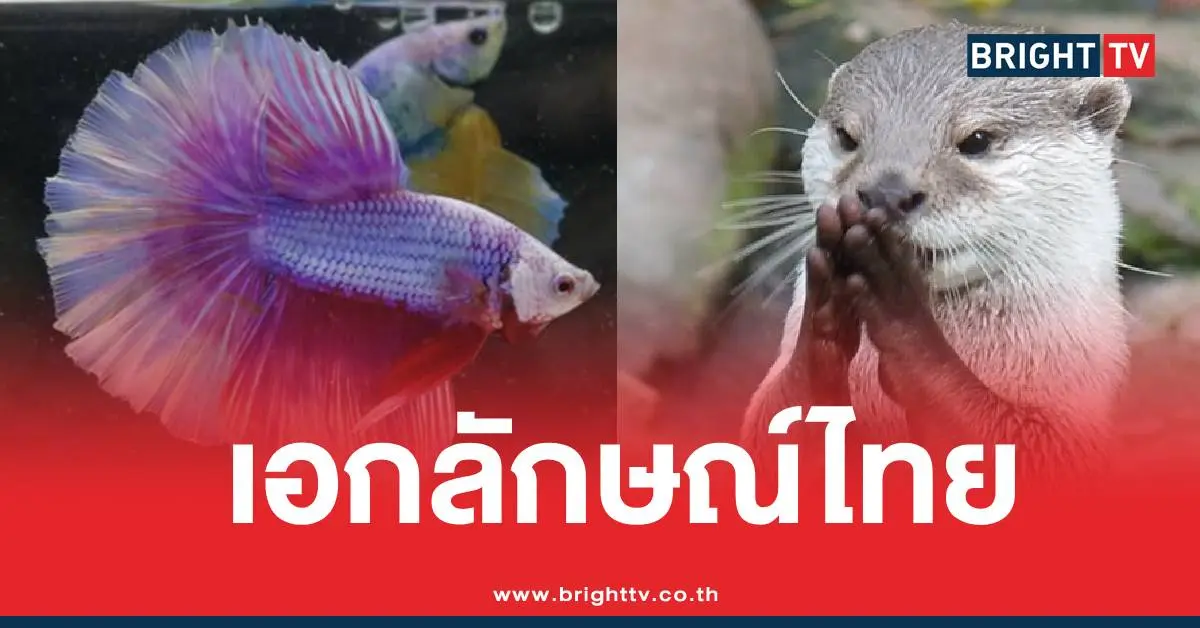 6 เอกลักษณ์ประจำชาติ