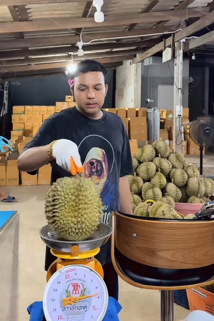 500475113 1308122560675281 3362820732271155686 n