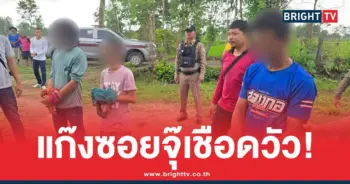 โจรซอยจุ๊ บุกขโมยวัวถึงคอก