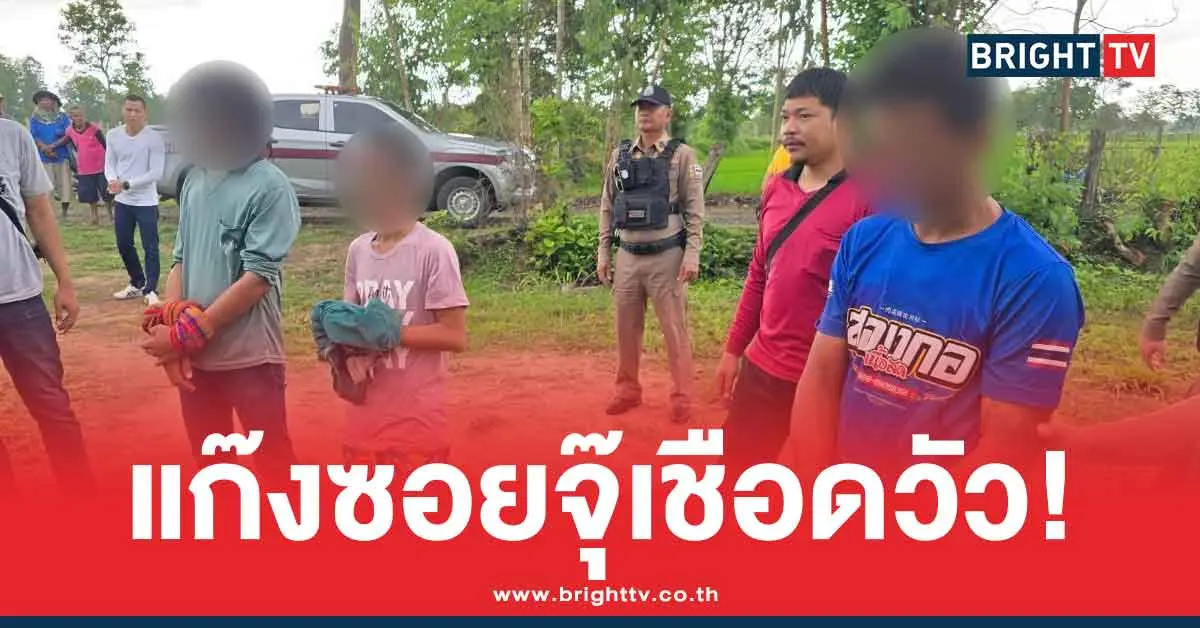 โจรซอยจุ๊ บุกขโมยวัวถึงคอก