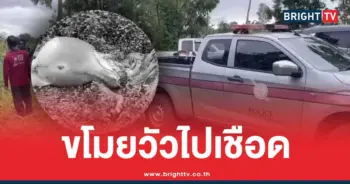 โจรกระสือ