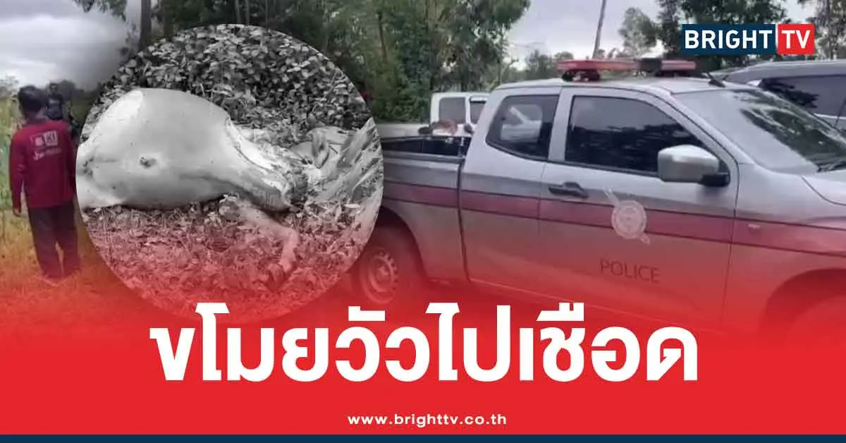 โจรกระสือ