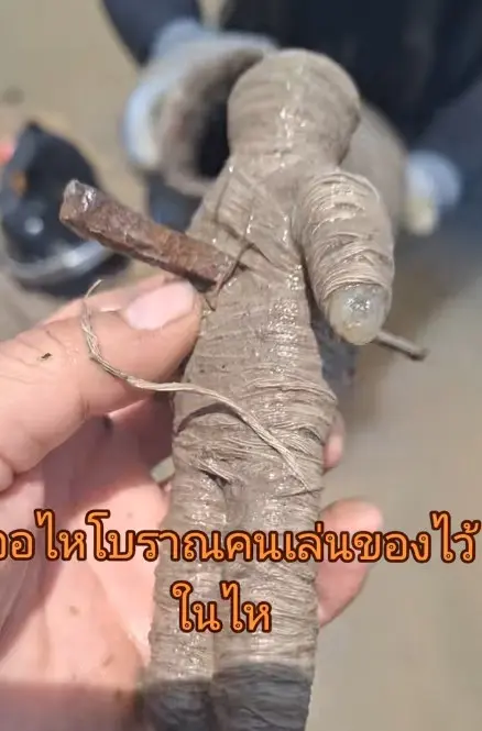 ตะปูสังฆวานร2