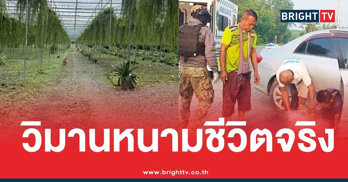 วิมานหนามคู่เกย์คาเฟ่