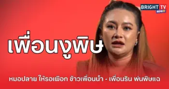 งูพิษ