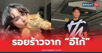 มิกซ์-ฉลามจัส