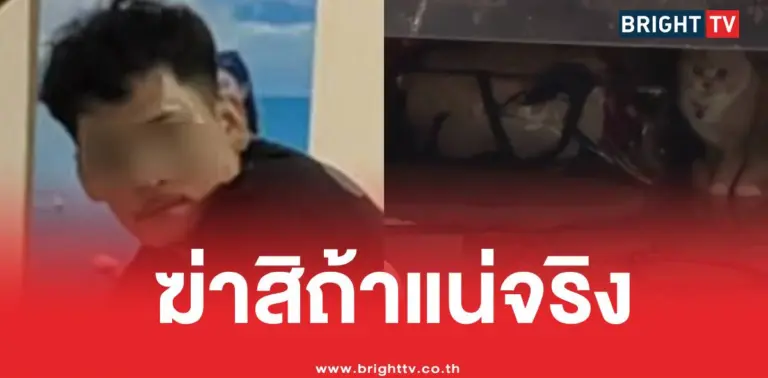 ฆ่าสิถ้าแน่จริงเป้คัลเลอร์