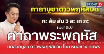 มูช้างพฤ
