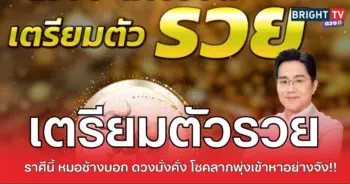 ช้างรวยปก