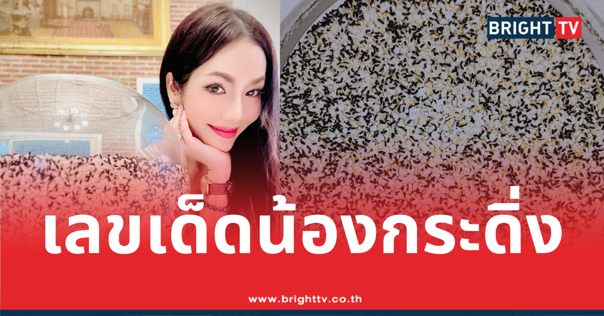 ไบ บายย (5)