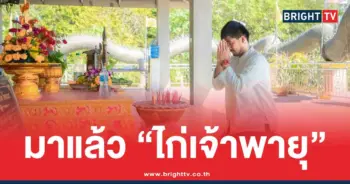 เลขทำมือ ไก่เจ้าพายุ ล่าสุด