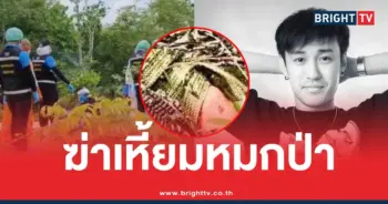 ฆ่าหมกป่าดีเจเตเต้