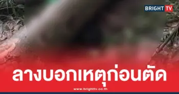 หนุ่มห้าว ตัดไม้ไม่ไหว้เจ้า