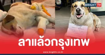หมาแบงค์ได้บ้านใหม่